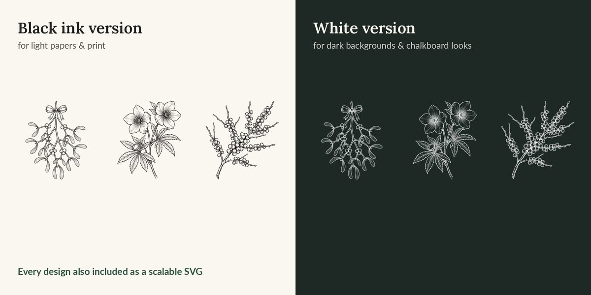 Winter Botanical Line Art preview 2