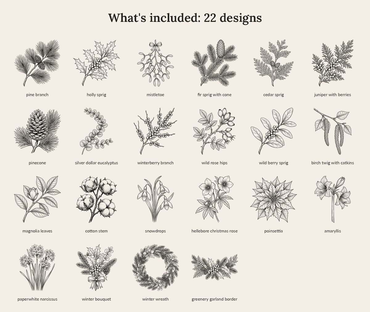 Winter Botanical Line Art preview 3